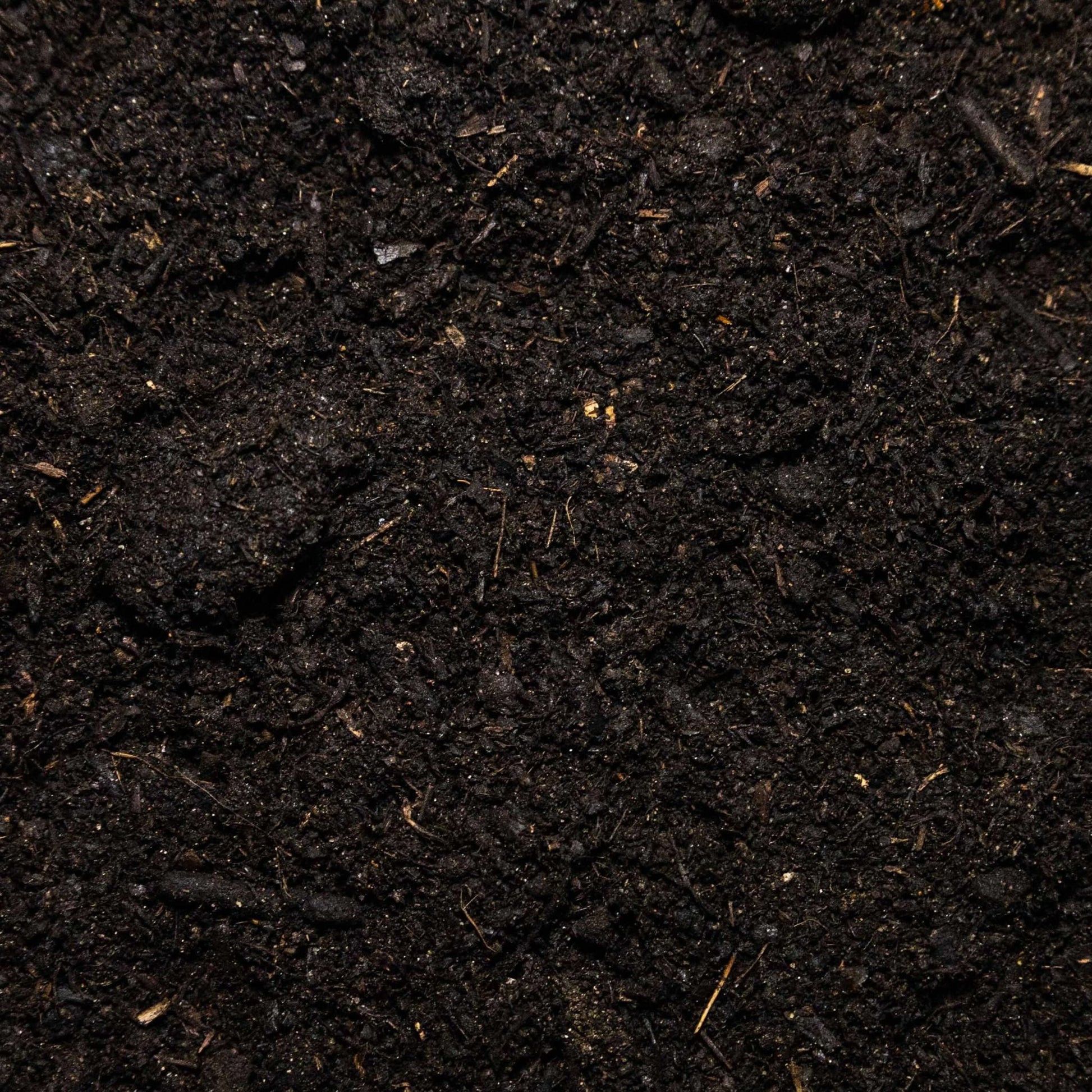 Peat Free Compost - Gardenscapedirect
