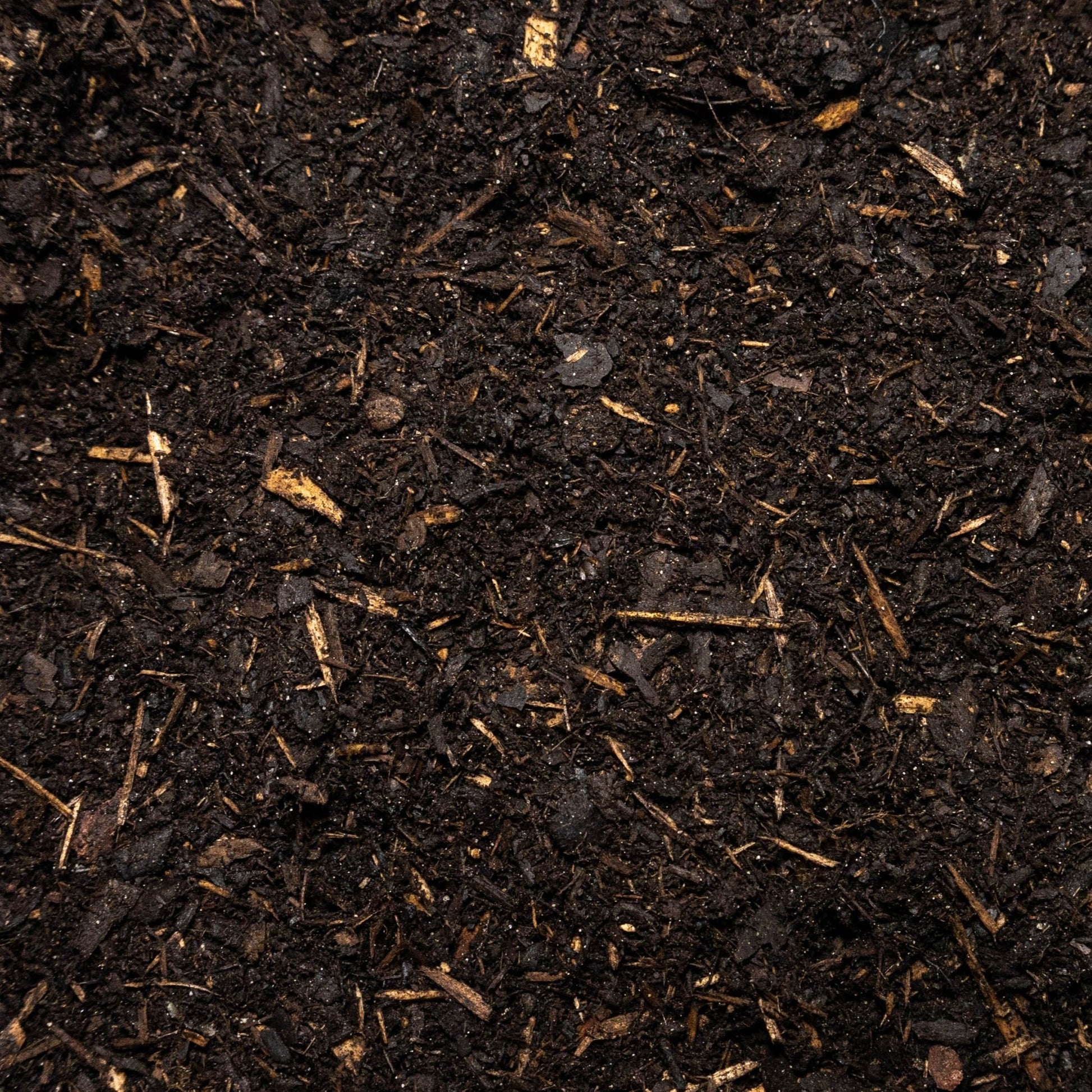 Peat Free Multipurpose Compost - Gardenscapedirect
