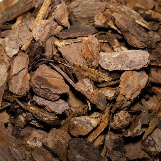 Pine Nuggets 35 - 45mm - Gardenscapedirect