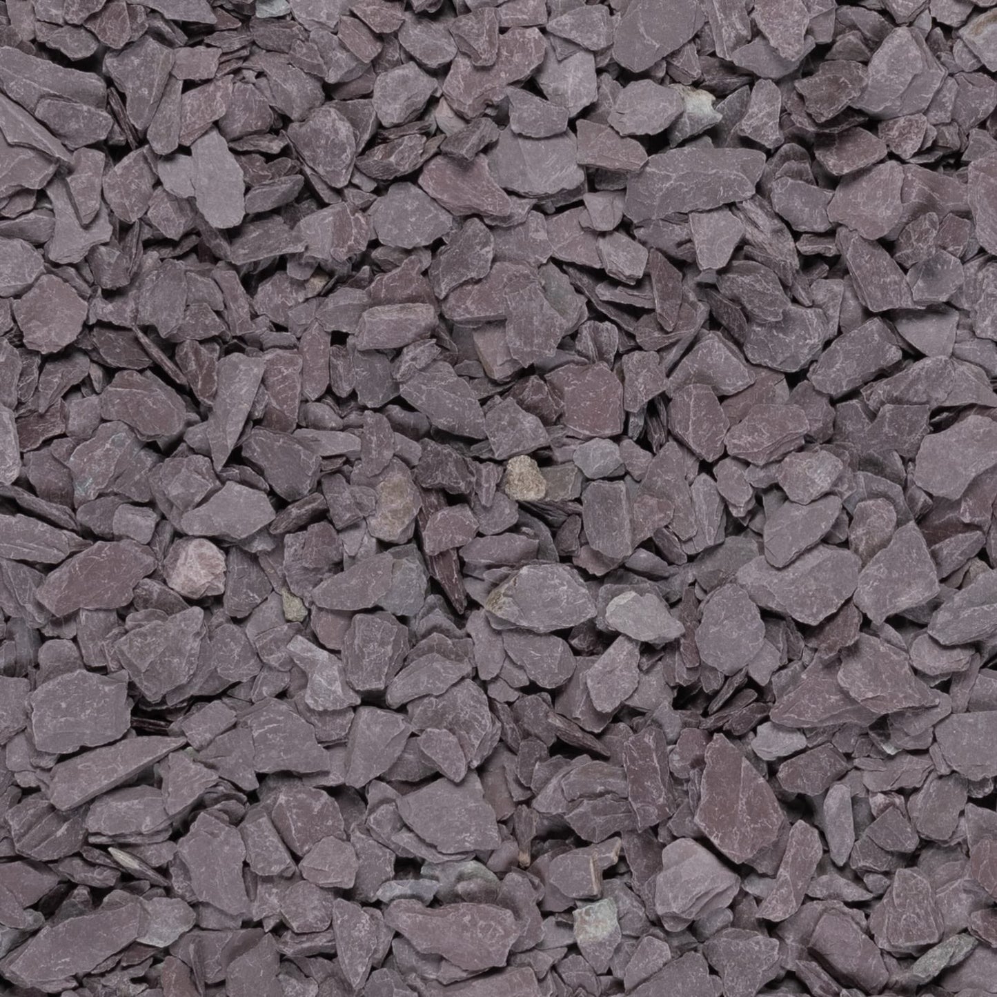 Plum Slate 20mm - Gardenscapedirect