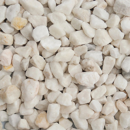 Polar White 20mm - Gardenscapedirect