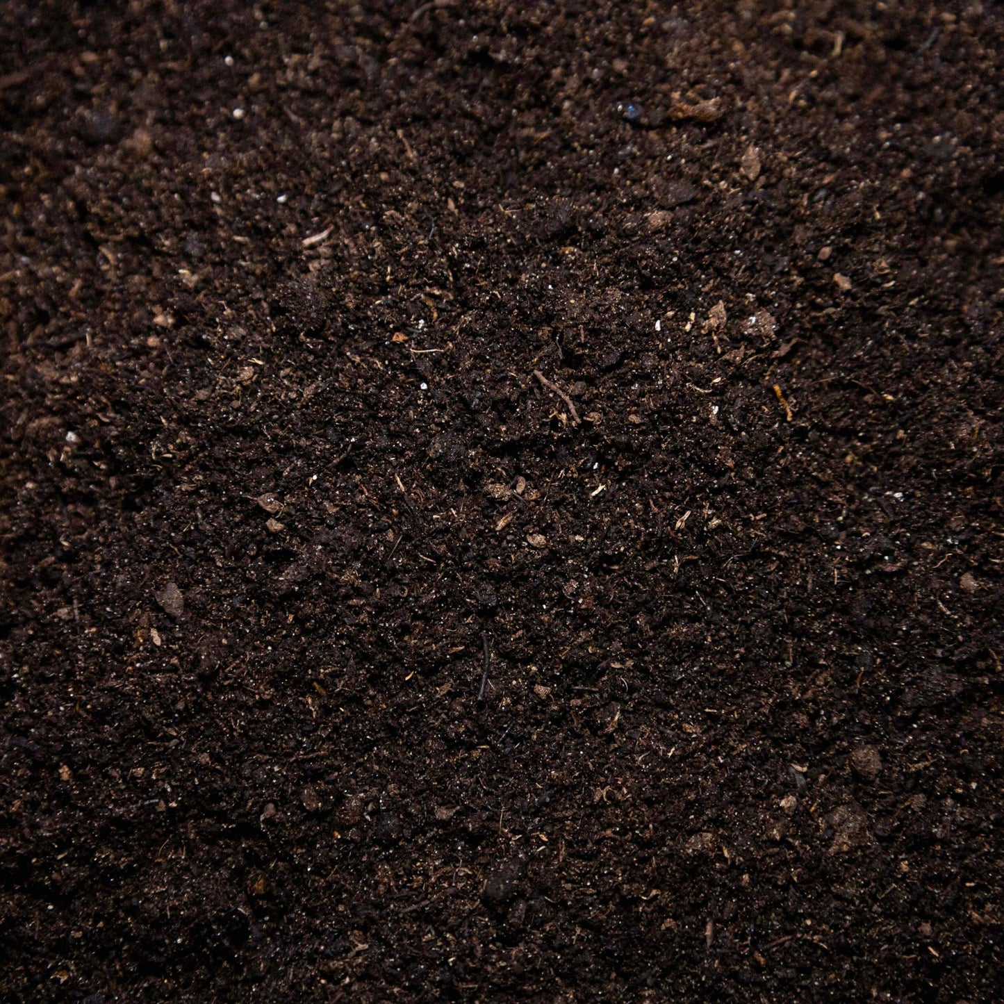 Seed and Cutting Compost - Gardenscapedirect