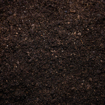 Seed and Cutting Compost - Gardenscapedirect