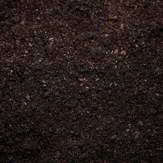 Seed and Cutting Compost - Gardenscapedirect