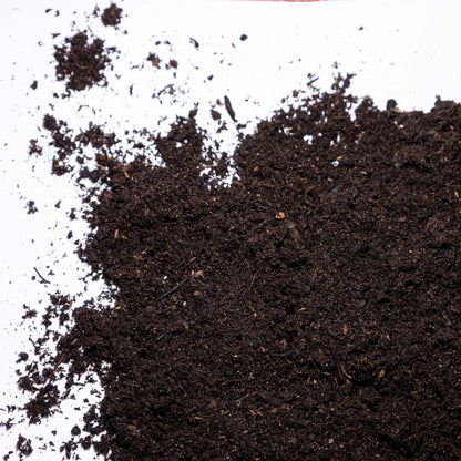 Seed and Cutting Compost - Gardenscapedirect