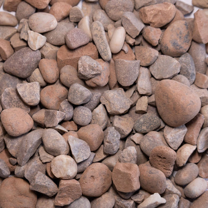 Staffordshire Pink 20mm - Gardenscapedirect