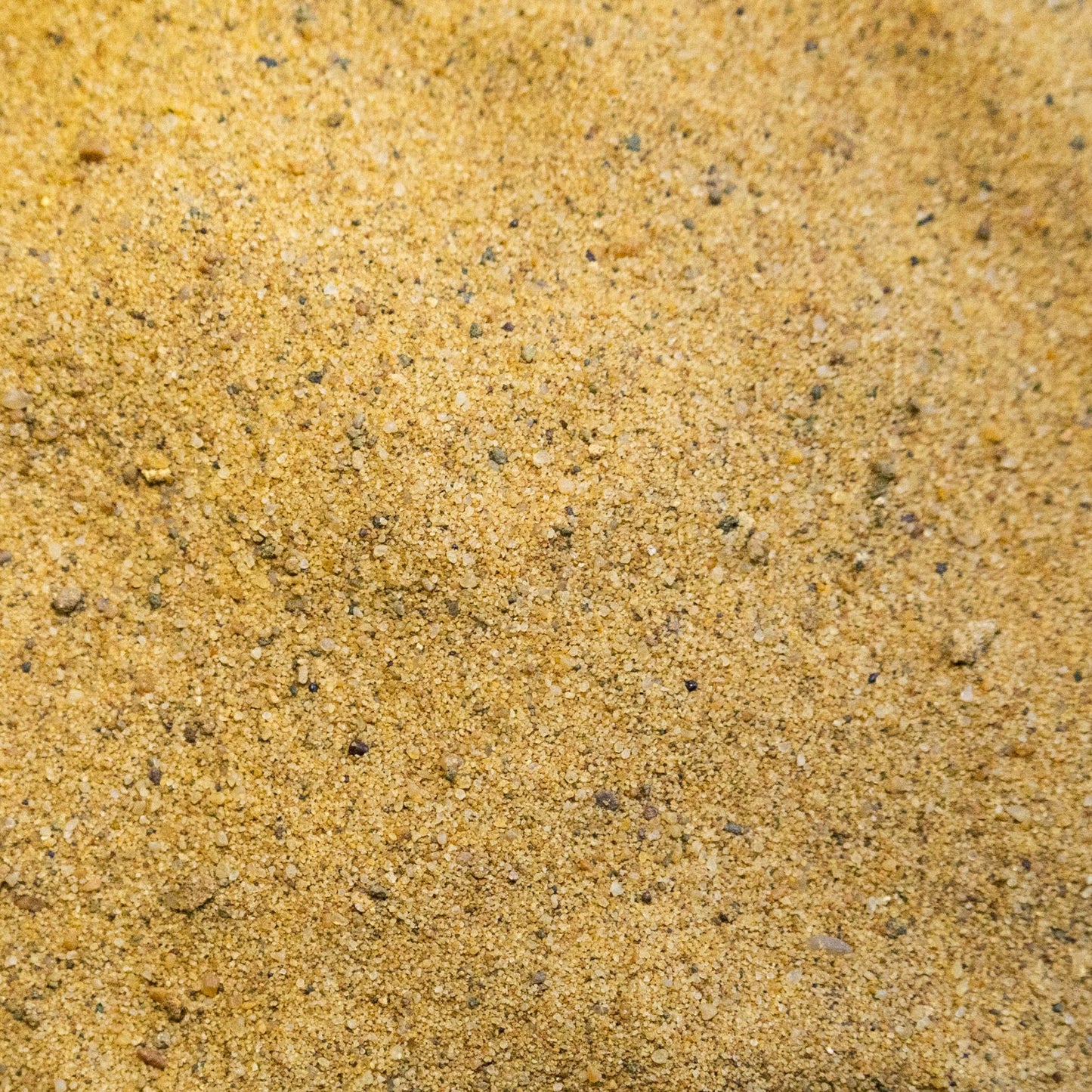 Washed Sports Sand - Gardenscapedirect