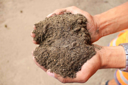 Topsoil - Kent Yard - Fast Delivery | Gardenscapedirect