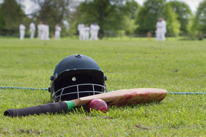 Cricket Renovation Package | Gardenscapedirect