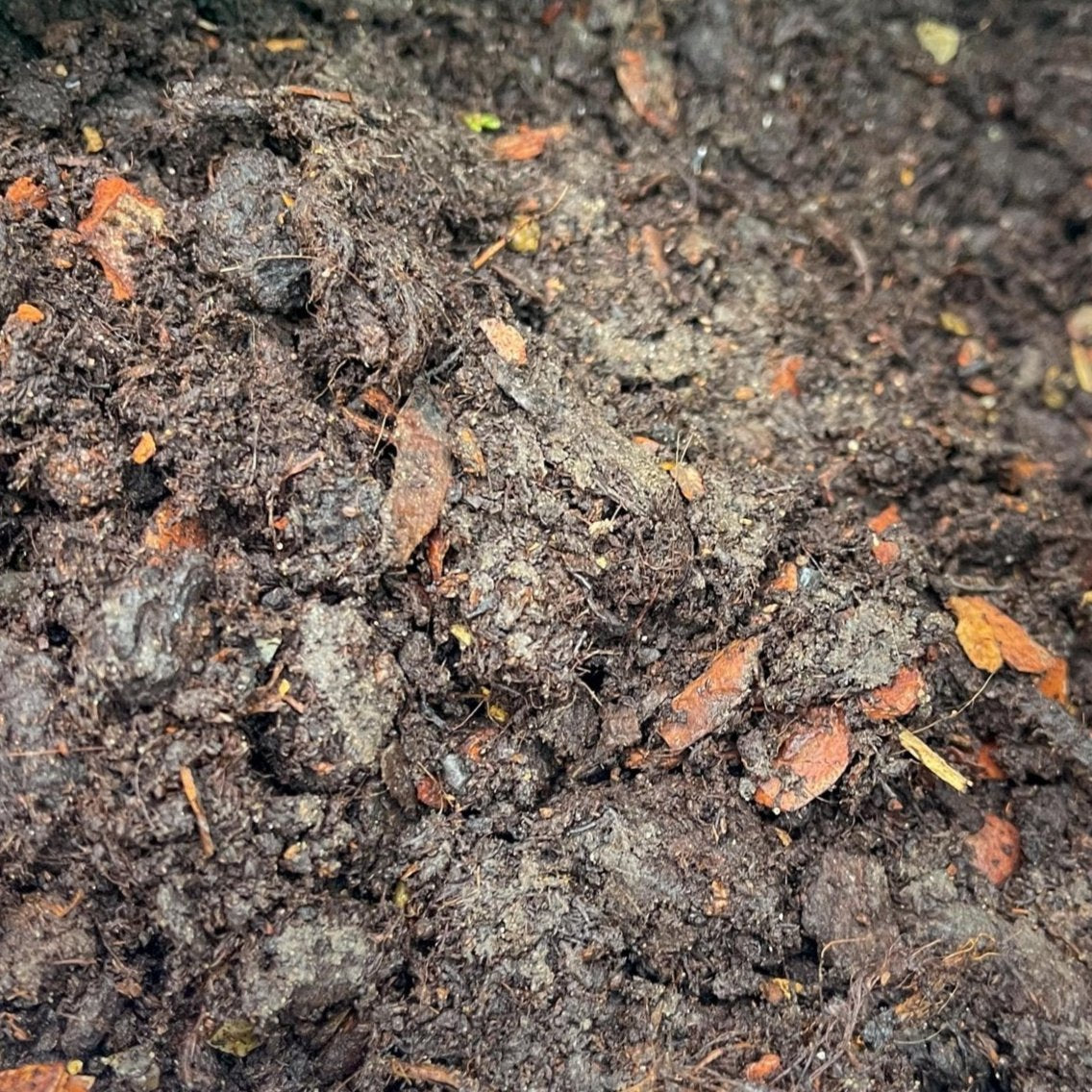 Shrub Mix Module Ericaceous Shrub Mix - Free Local Bulk Bag Delivery – Gardenscapedirect