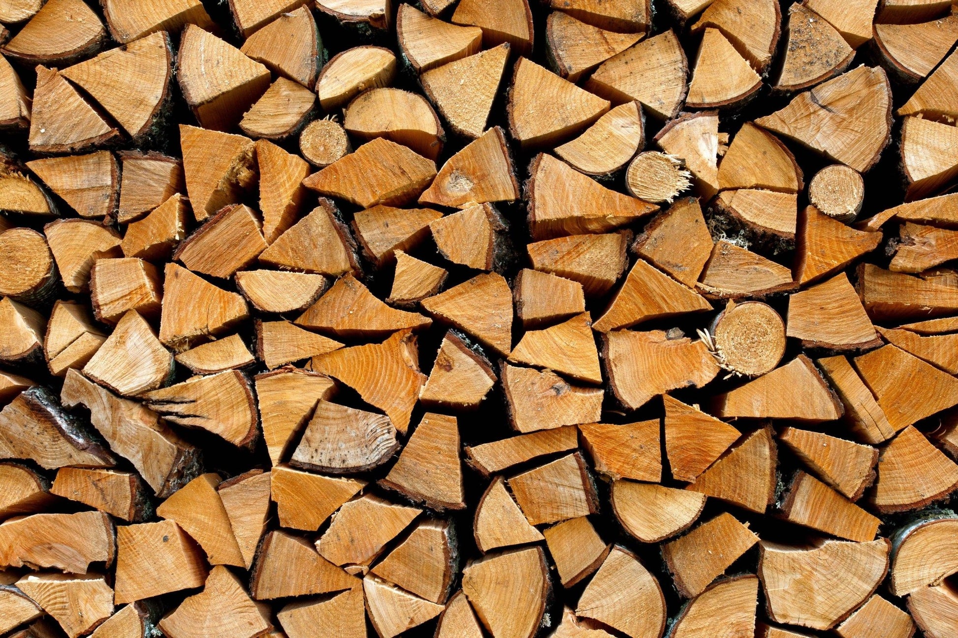 Firewood Logs - 0