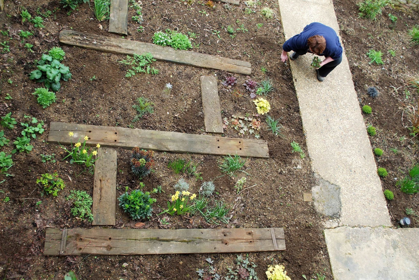 Garden Sleepers - 1