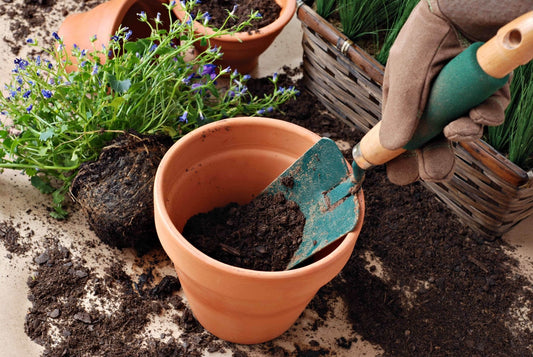 Pot and Bedding Compost | Gardenscapedirect