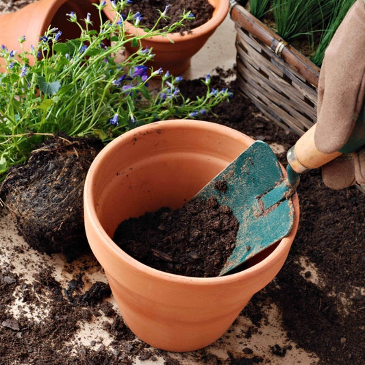 Pot and Bedding Compost (Peat Free) | Gardenscapedirect