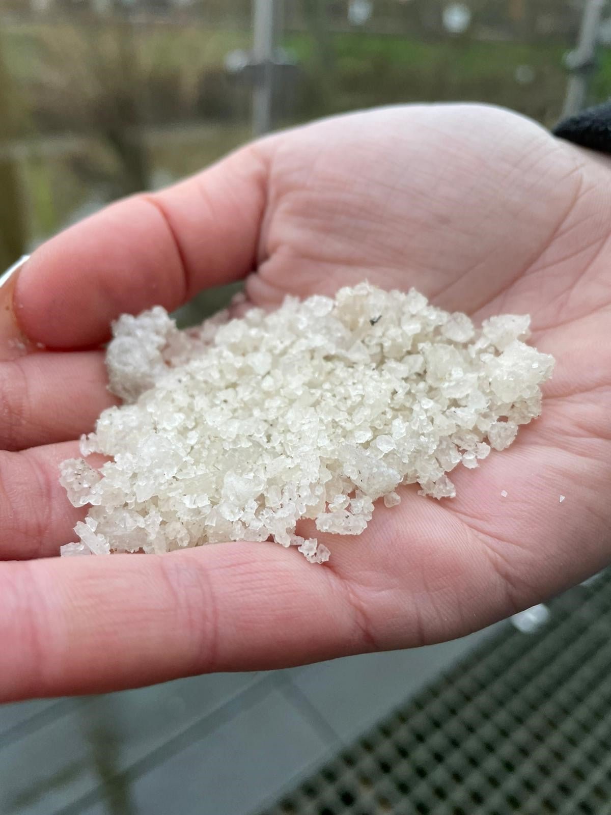 Rock Salt | Gardenscapedirect