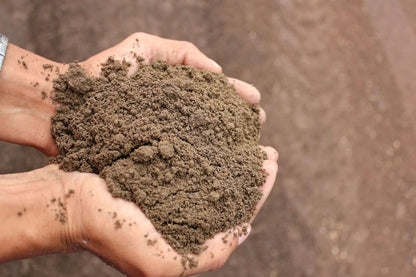 Sandy Loam Topsoil 20mm | Gardenscapedirect