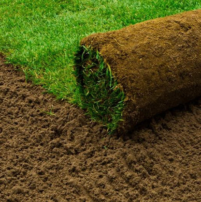 Turf - Free Local Delivery - Minimum Spend – Gardenscapedirect