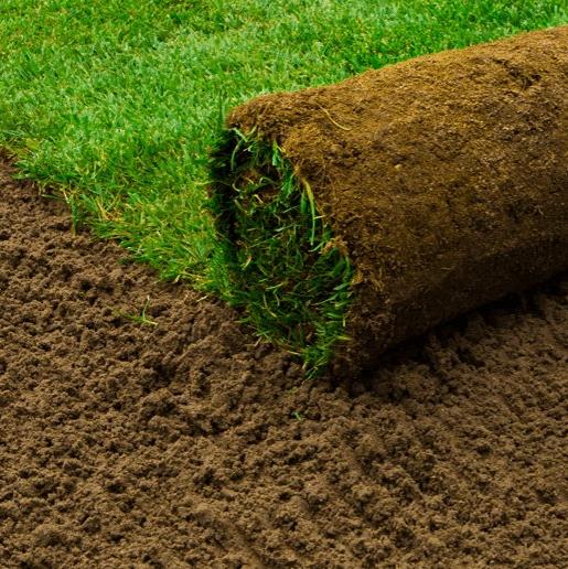 Turf | Gardenscapedirect