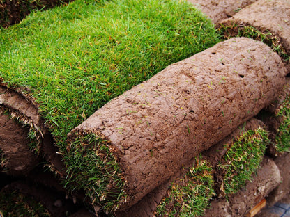 Turf | Gardenscapedirect